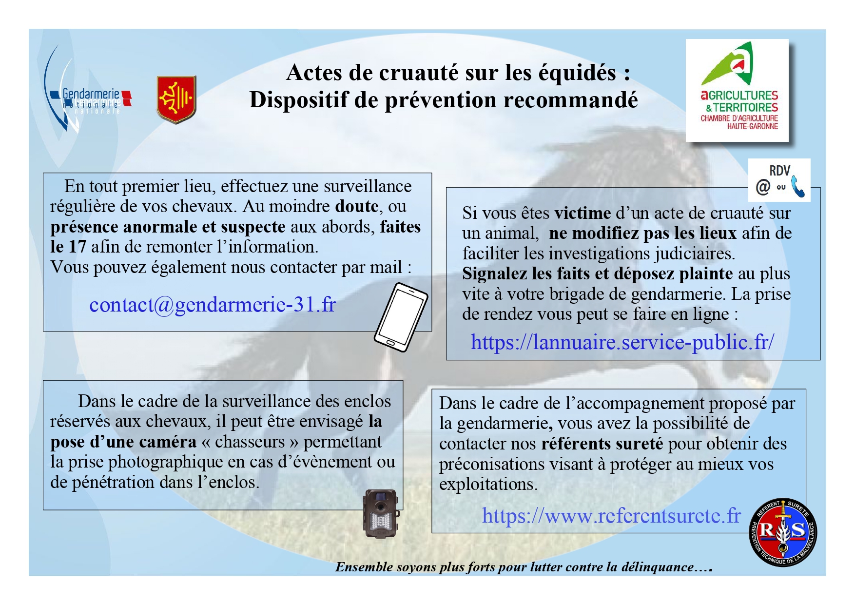 Actes cruauté chevaux